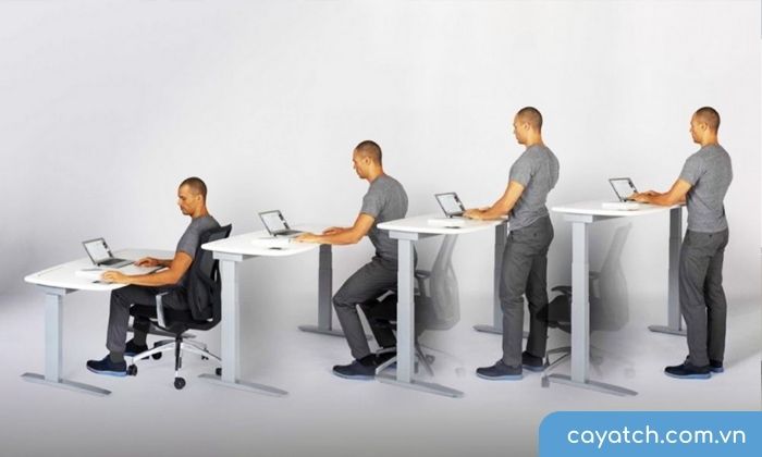 Sử dụng phương pháp thiết kế công thái học